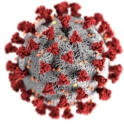 Graphical representation of the COVID-19 virus