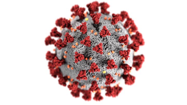 Graphical representation of the COVID 19 virus
